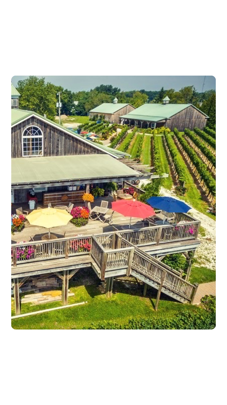 Cape May Winery